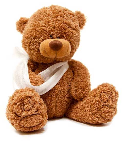 Familienservice Teddy